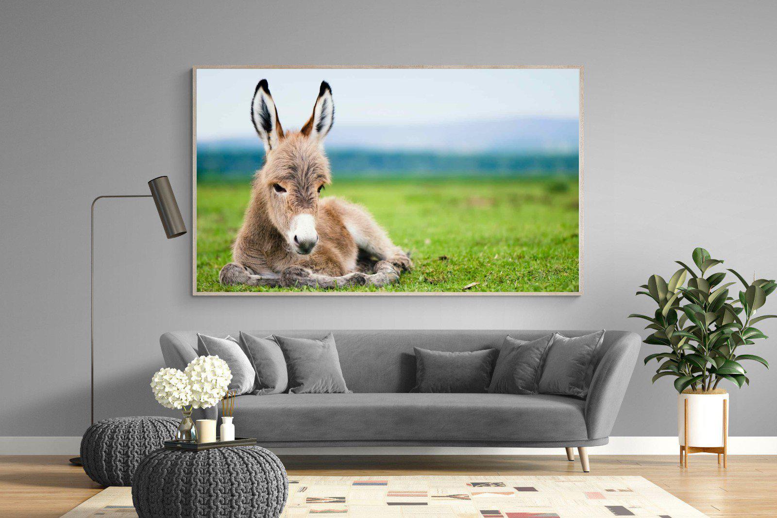 Donkey Foal-Wall_Art-220 x 130cm-Mounted Canvas-Wood-Pixalot