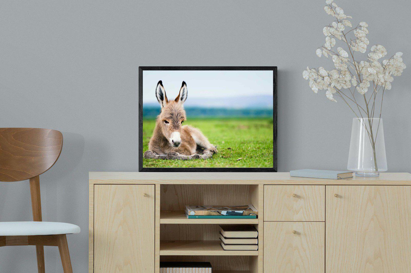 Donkey Foal-Wall_Art-60 x 45cm-Mounted Canvas-Black-Pixalot