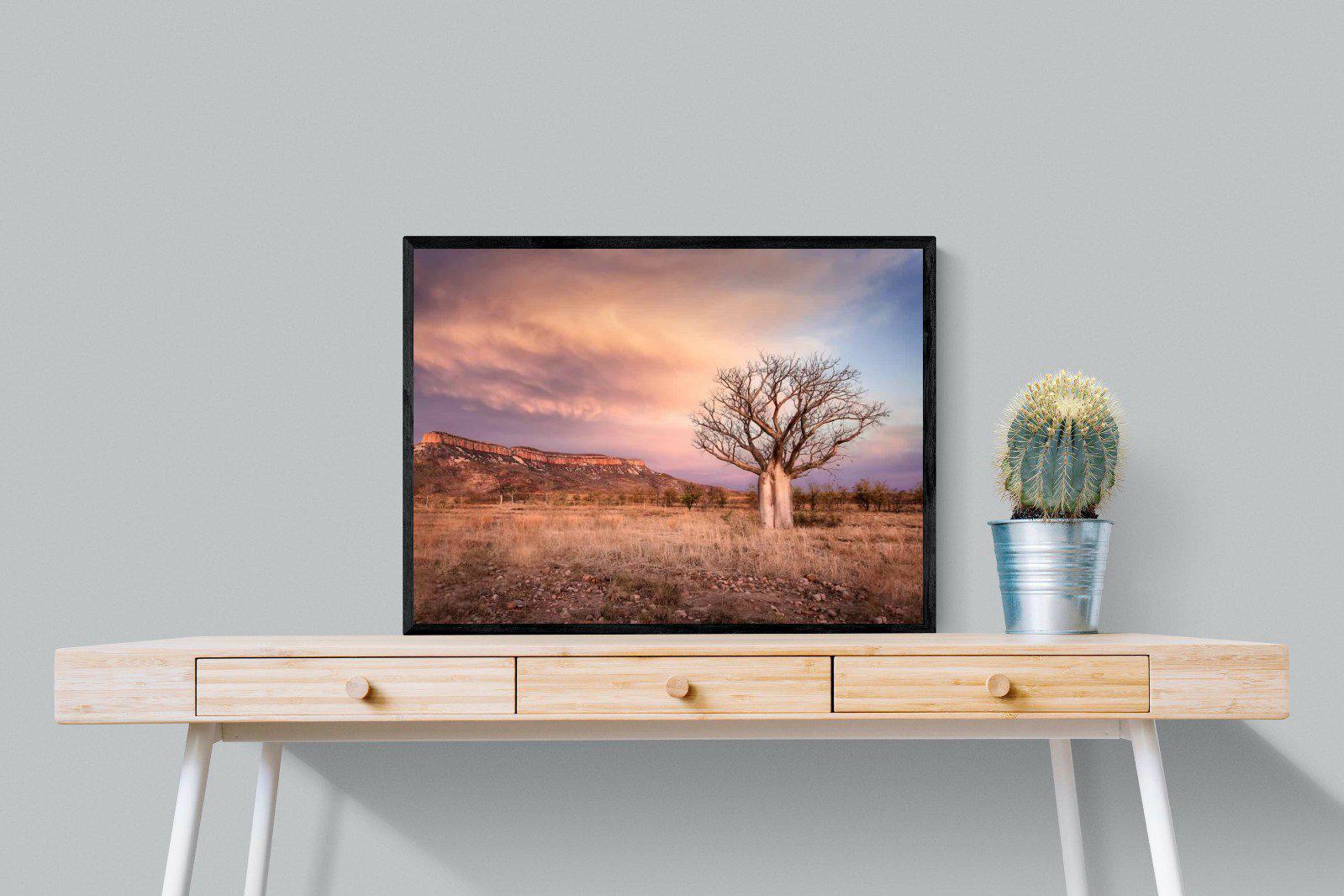 Dusky Baobab-Wall_Art-80 x 60cm-Mounted Canvas-Black-Pixalot