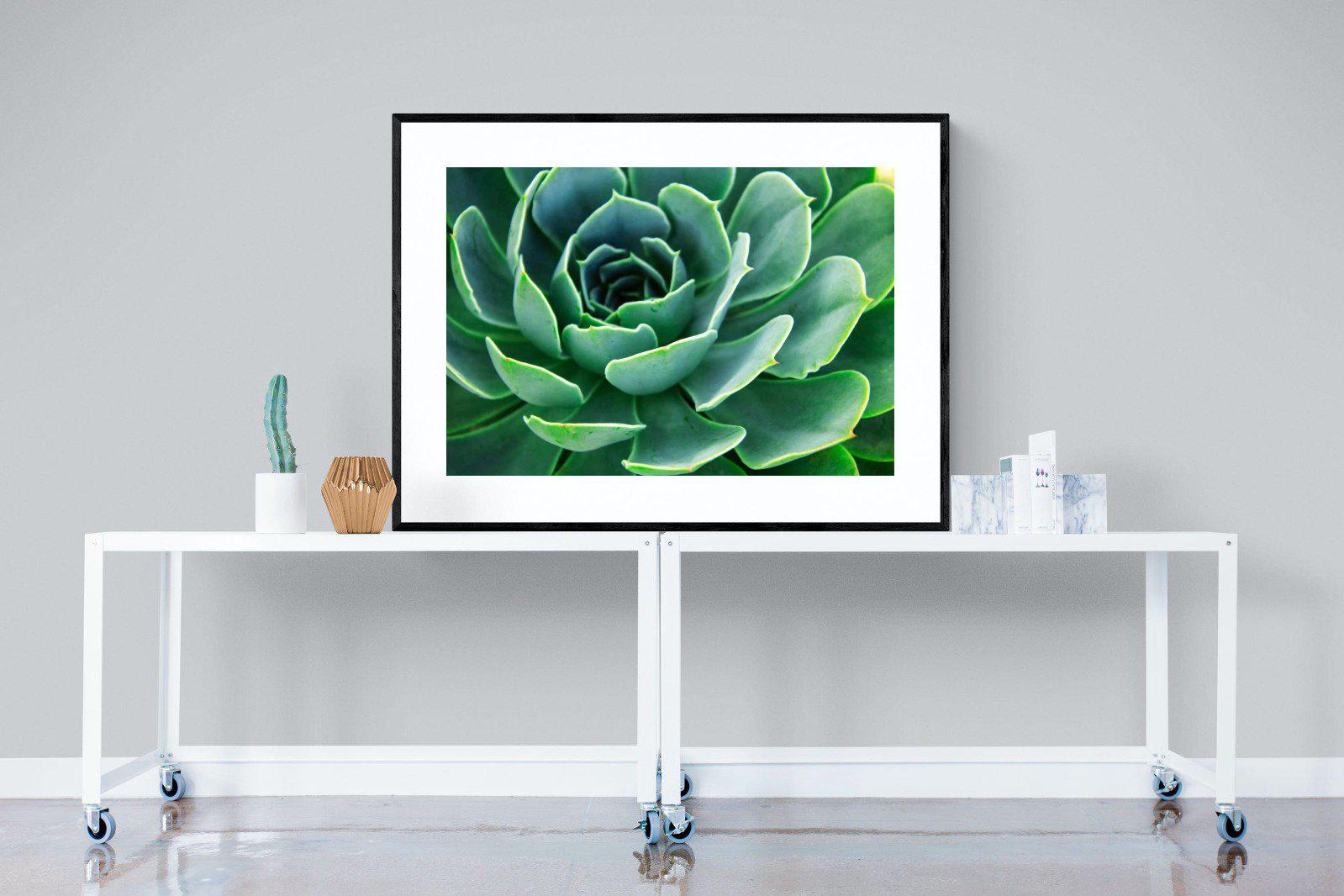 Echeveria Elegans-Wall_Art-120 x 90cm-Framed Print-Black-Pixalot