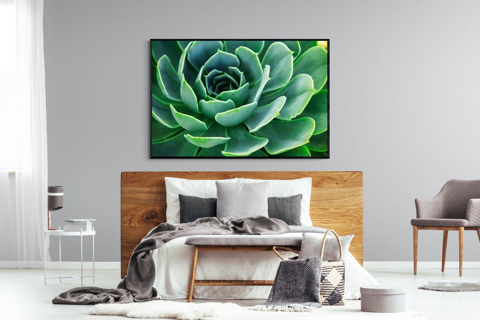 Echeveria Elegans-Wall_Art-150 x 100cm-Mounted Canvas-Black-Pixalot