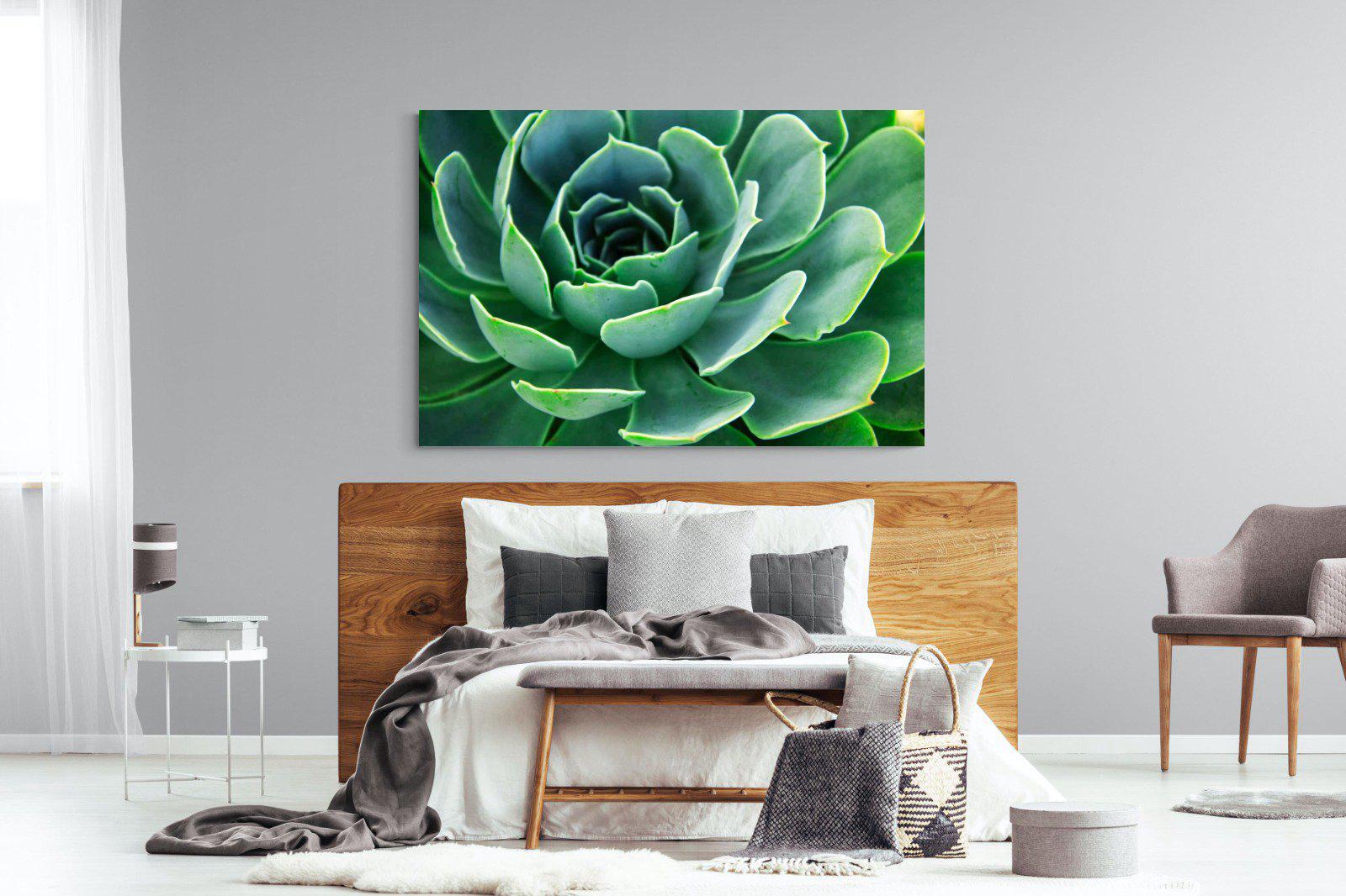 Echeveria Elegans-Wall_Art-150 x 100cm-Mounted Canvas-No Frame-Pixalot