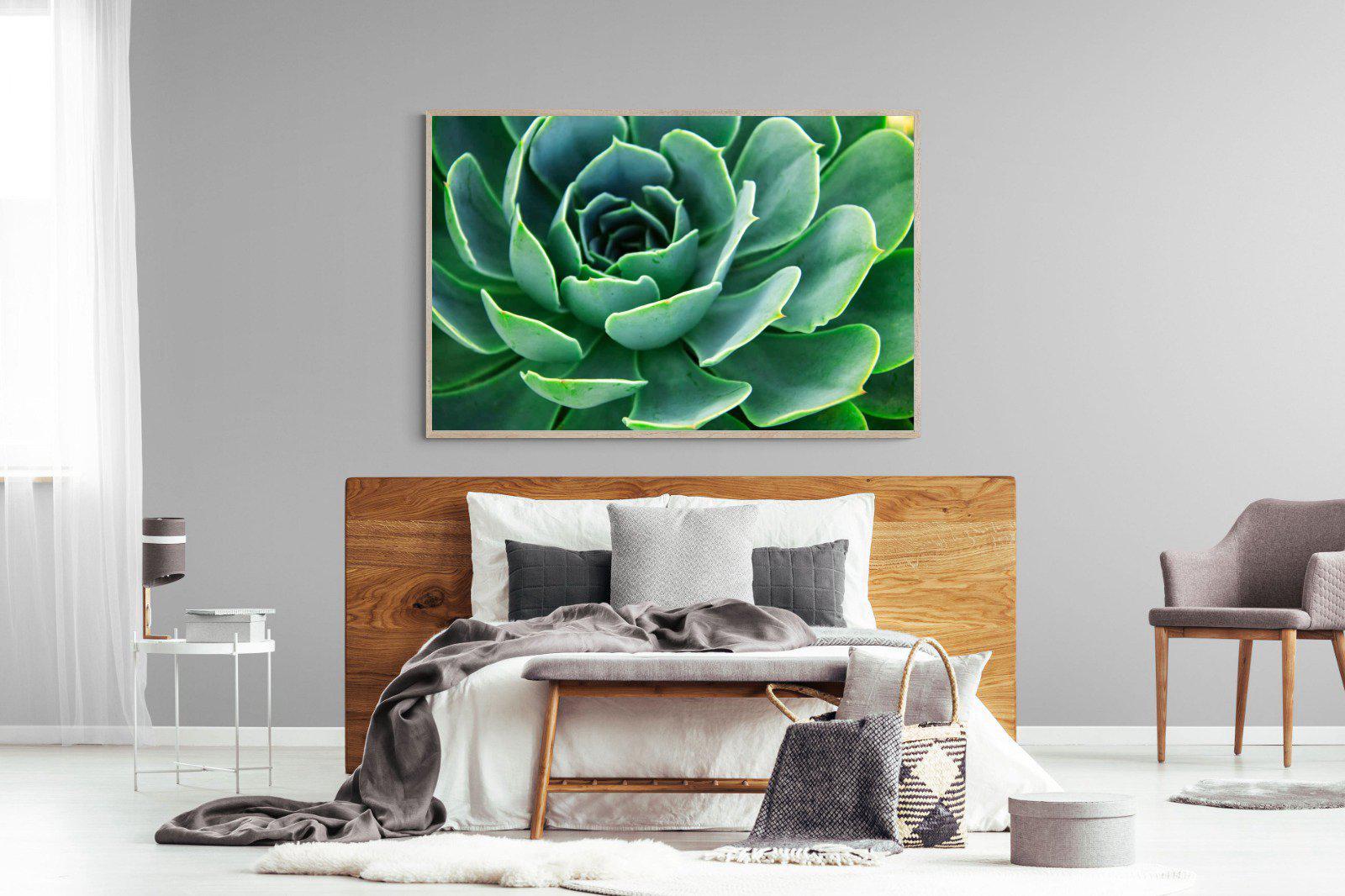 Echeveria Elegans-Wall_Art-150 x 100cm-Mounted Canvas-Wood-Pixalot