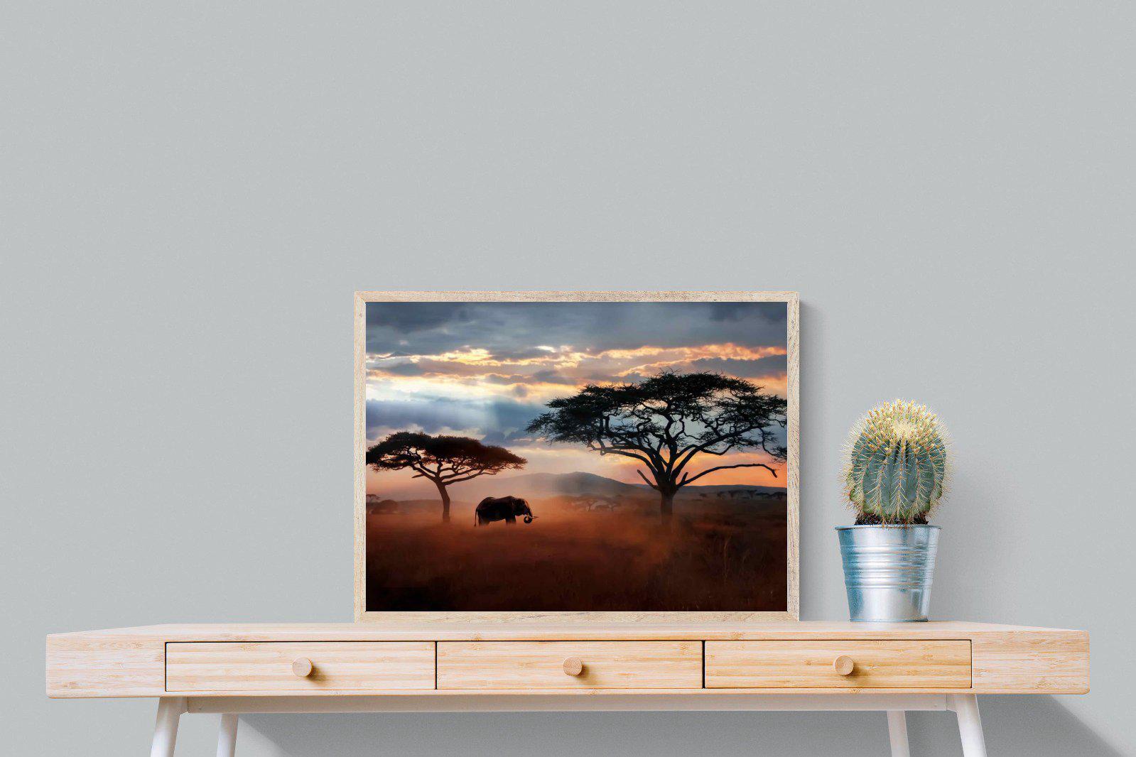 Ele at Dusk-Wall_Art-80 x 60cm-Mounted Canvas-Wood-Pixalot