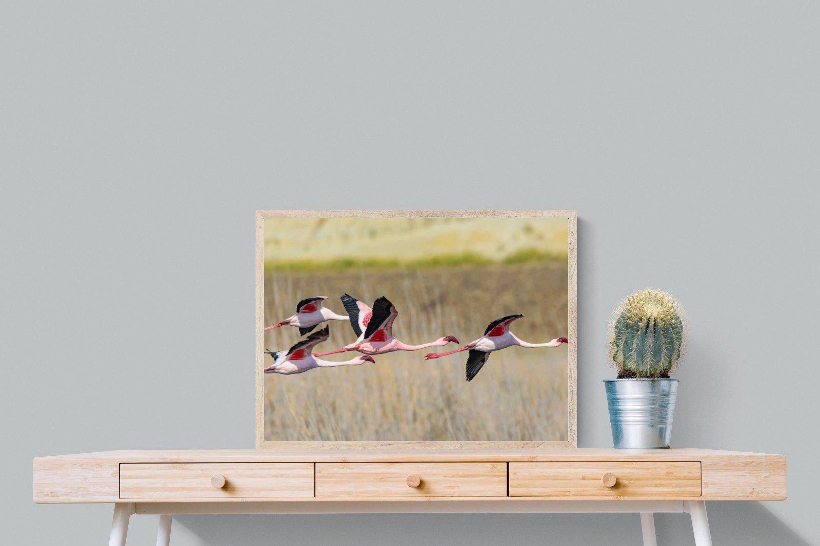 Flying Flamingos-Wall_Art-80 x 60cm-Mounted Canvas-Wood-Pixalot