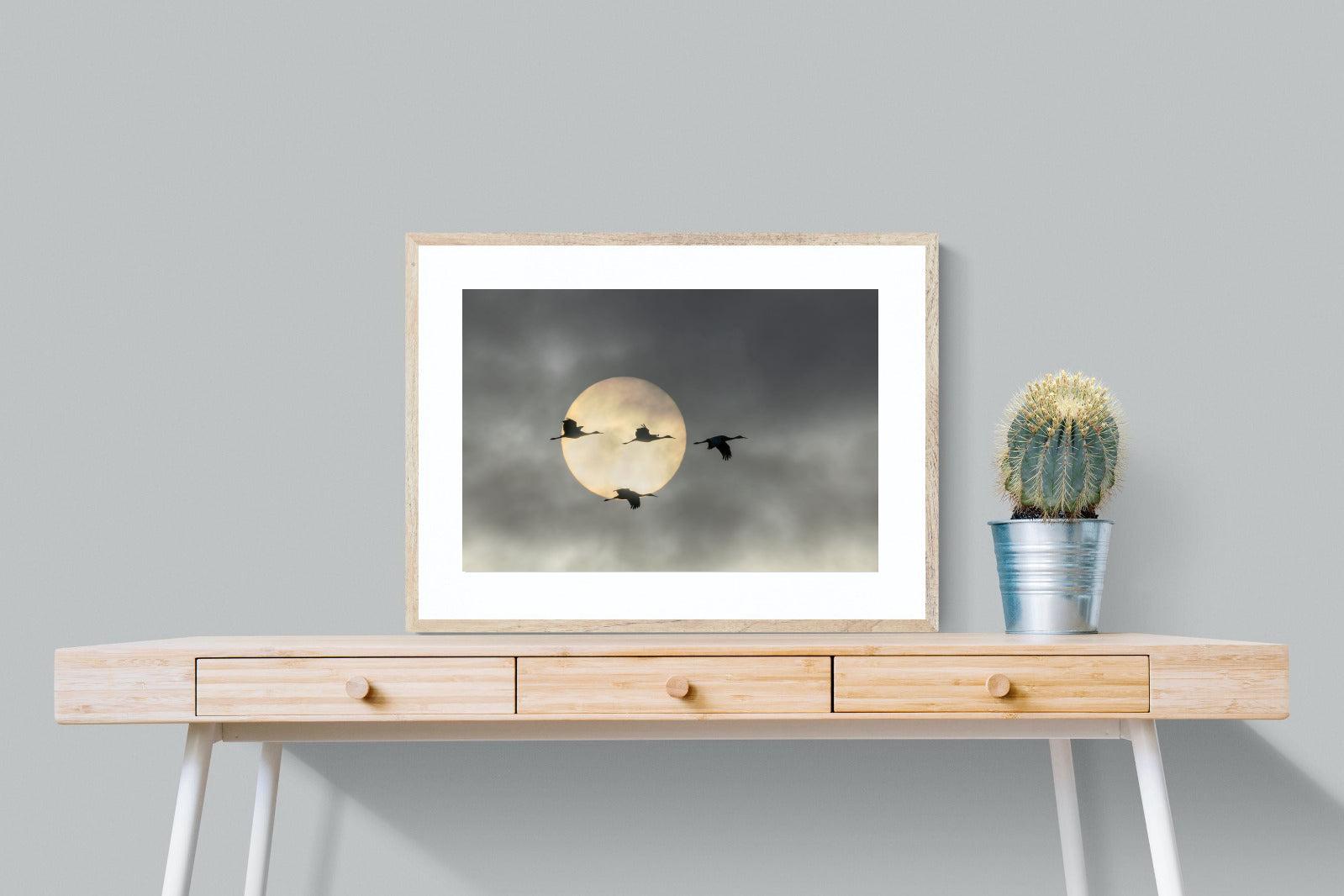 Flying High-Wall_Art-80 x 60cm-Framed Print-Wood-Pixalot