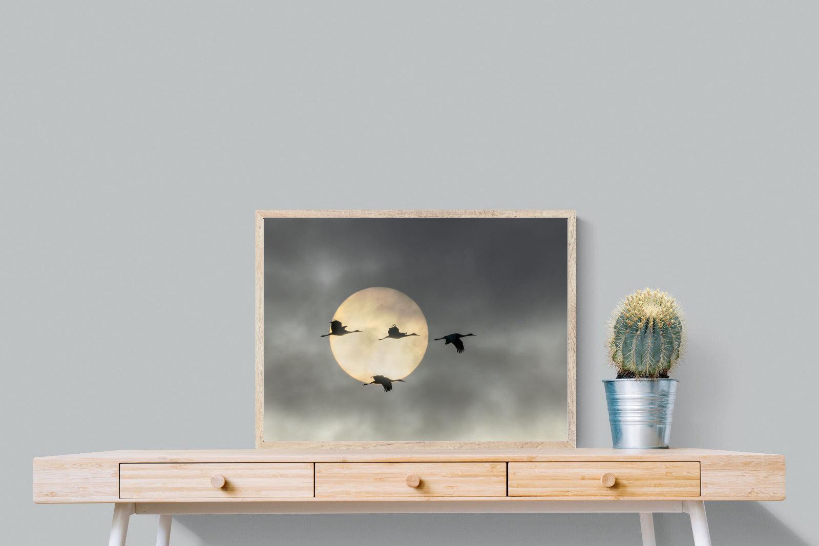 Flying High-Wall_Art-80 x 60cm-Mounted Canvas-Wood-Pixalot