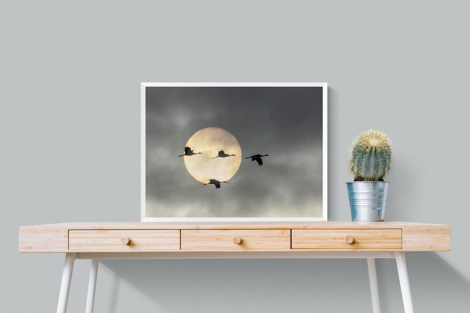 Flying High-Wall_Art-80 x 60cm-Mounted Canvas-White-Pixalot