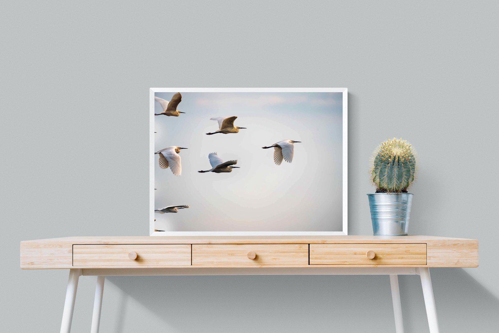 Flying V-Wall_Art-80 x 60cm-Mounted Canvas-White-Pixalot