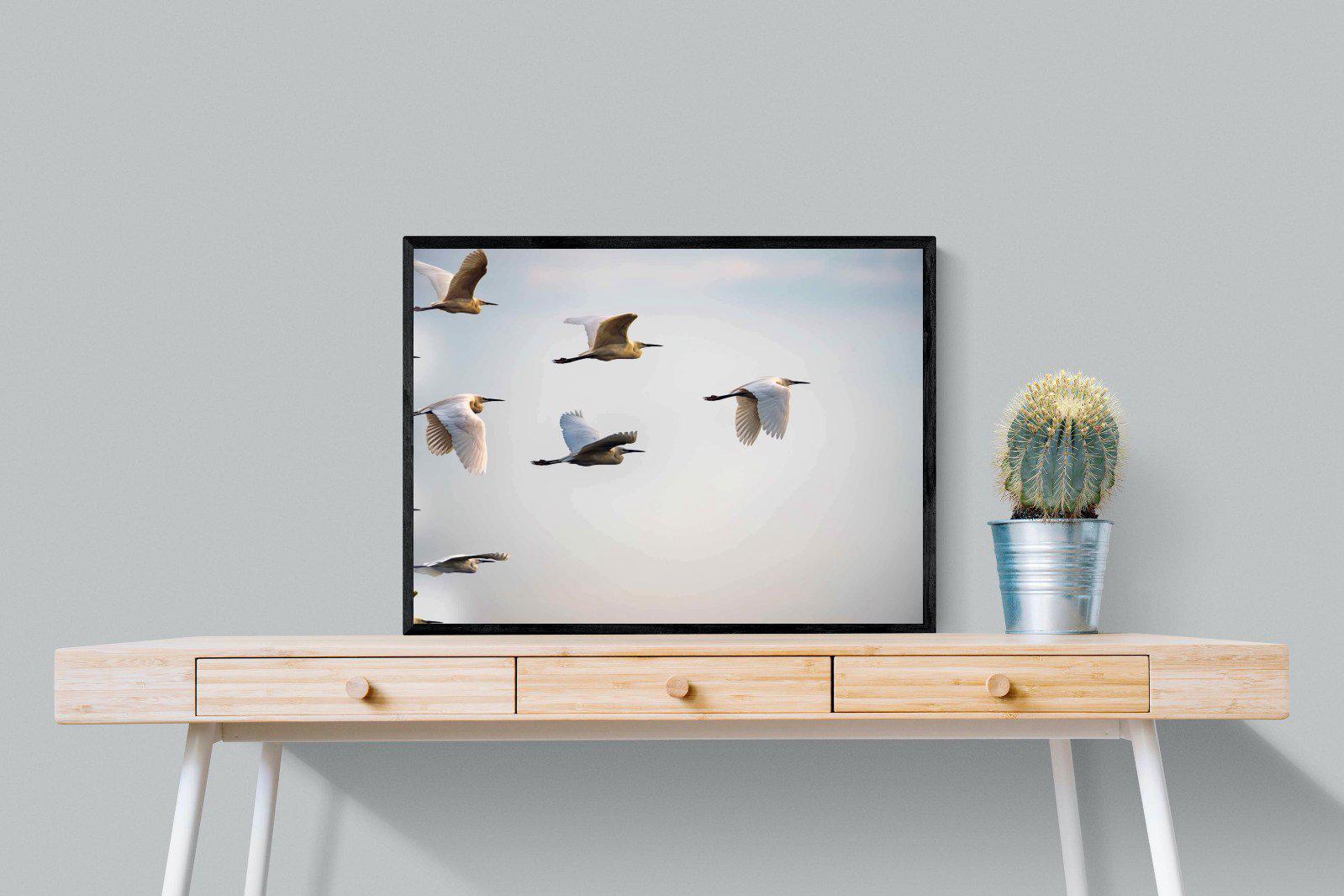 Flying V-Wall_Art-80 x 60cm-Mounted Canvas-Black-Pixalot