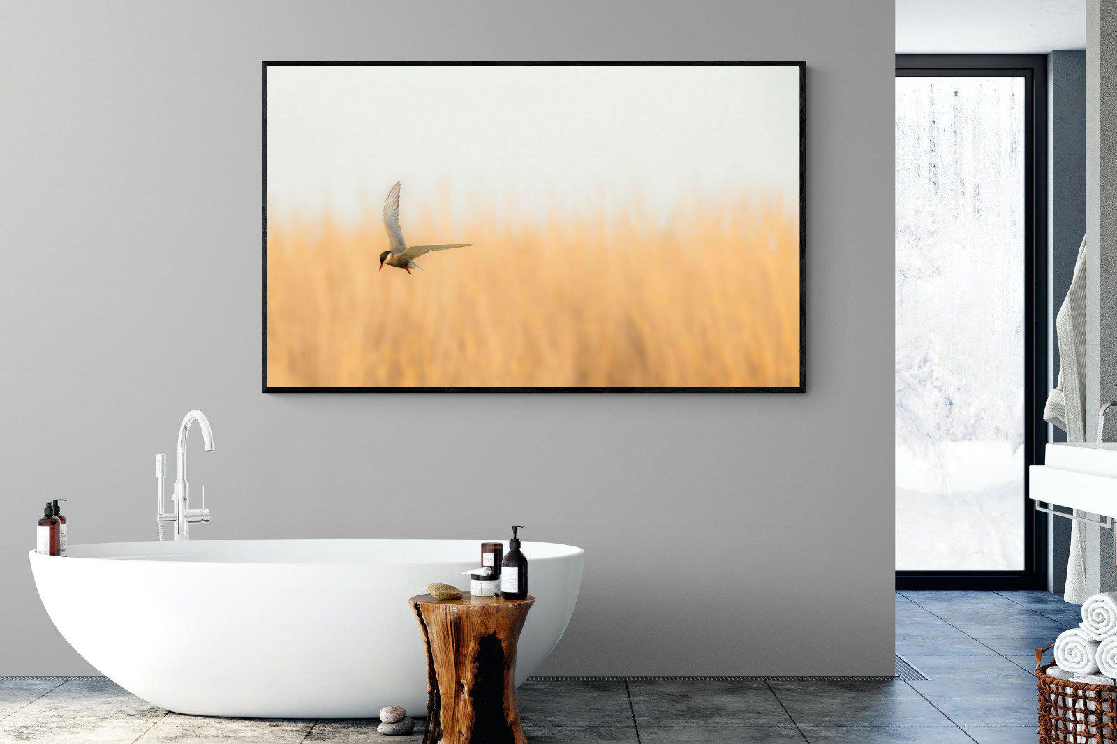 Focused-Wall_Art-180 x 110cm-Mounted Canvas-Black-Pixalot