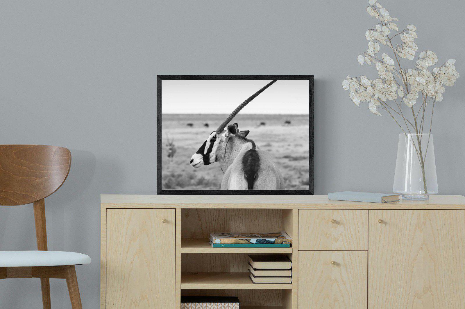 Gemsbok-Wall_Art-60 x 45cm-Mounted Canvas-Black-Pixalot