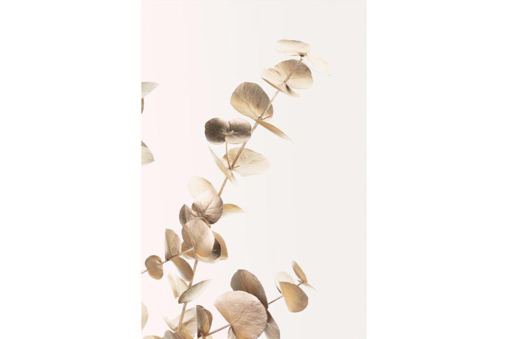 Golden Branch-Wall_Art-Pixalot