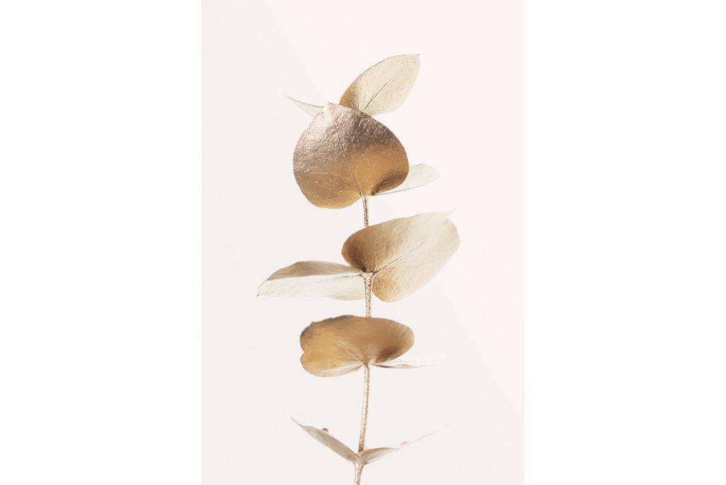 Golden Eucalyptus-Wall_Art-Pixalot