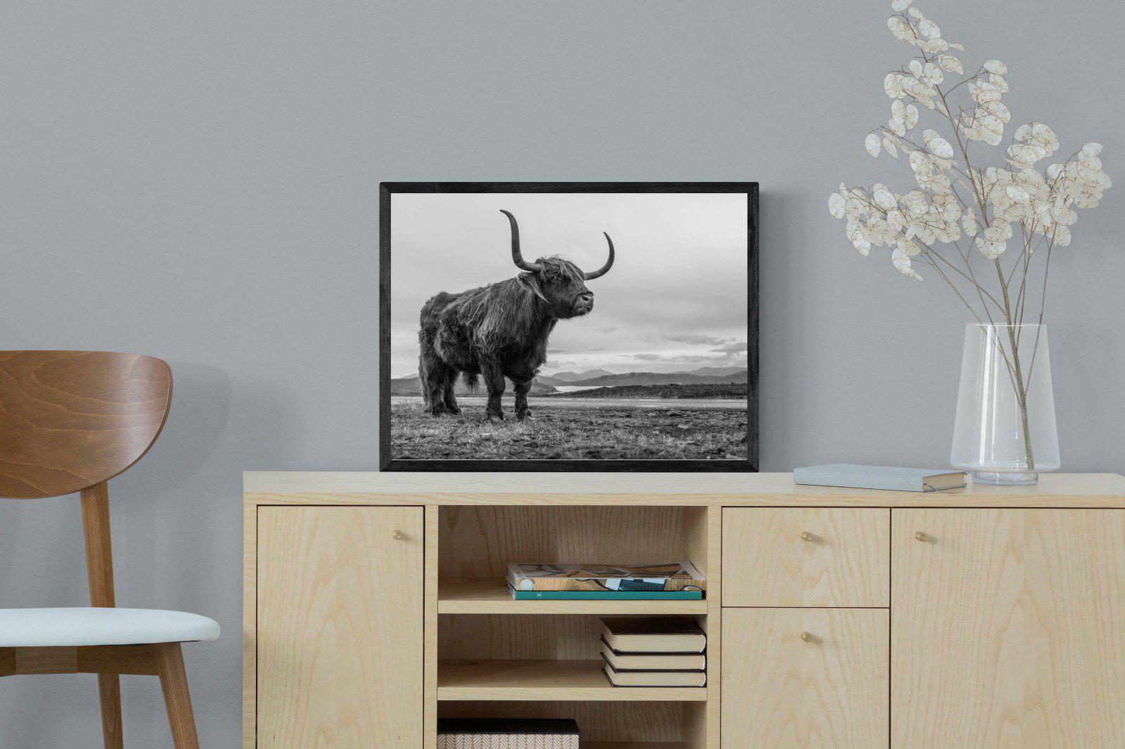 Highland Cow-Wall_Art-60 x 45cm-Mounted Canvas-Black-Pixalot