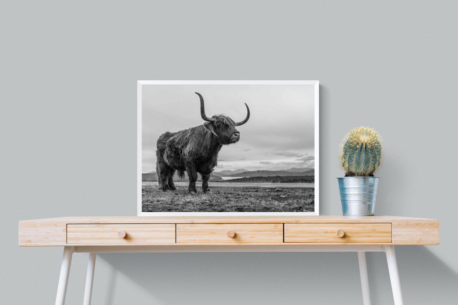 Highland Cow-Wall_Art-80 x 60cm-Mounted Canvas-White-Pixalot