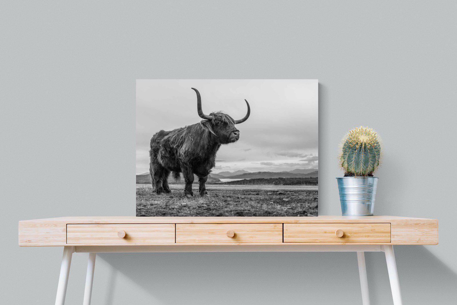 Highland Cow-Wall_Art-80 x 60cm-Mounted Canvas-No Frame-Pixalot