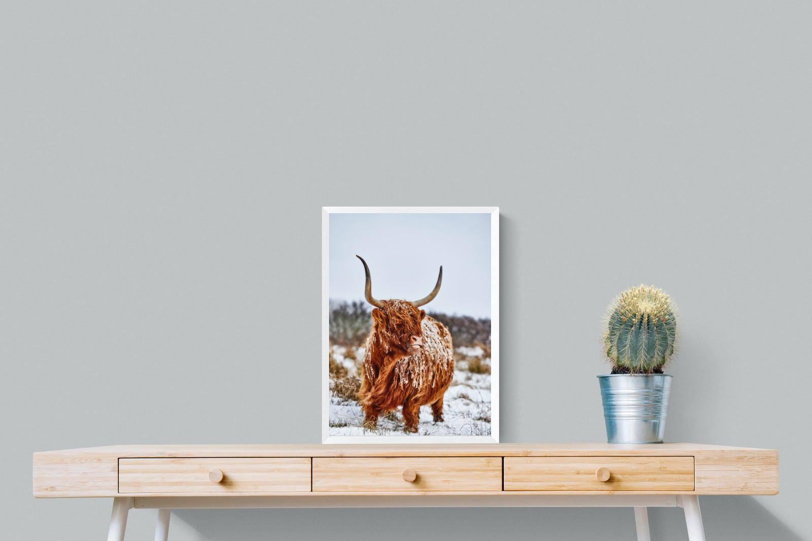 Highlander-Wall_Art-45 x 60cm-Mounted Canvas-White-Pixalot