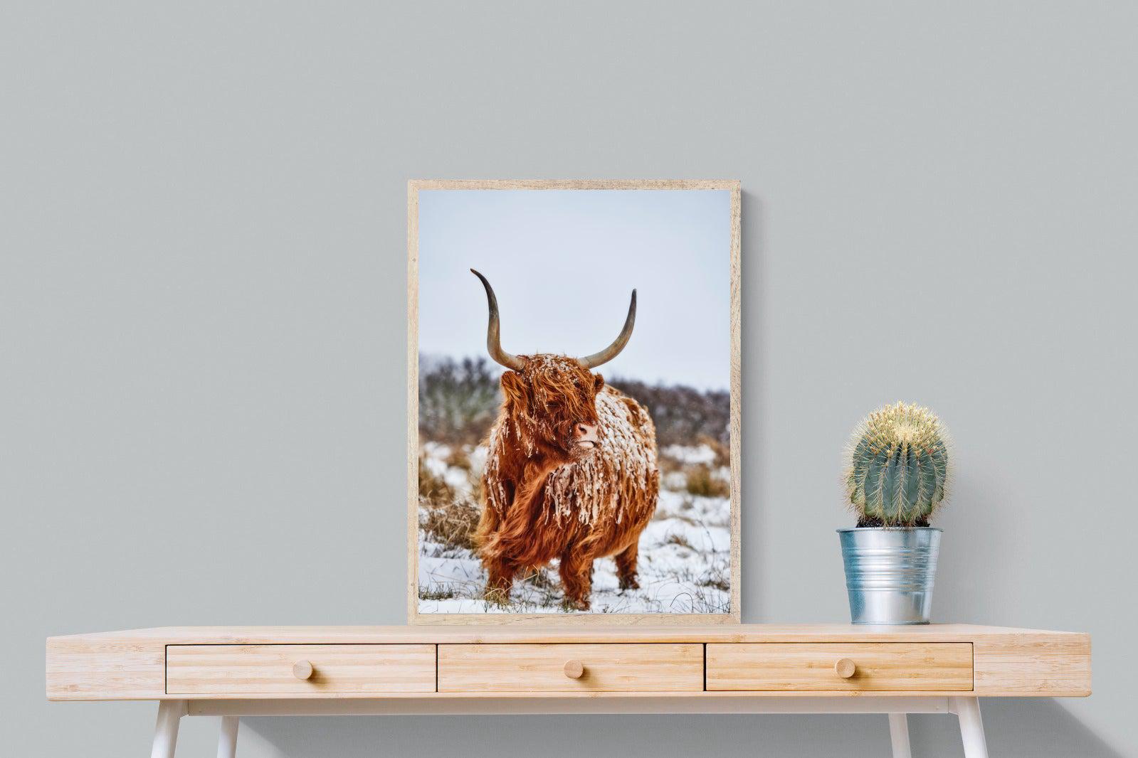 Highlander-Wall_Art-60 x 80cm-Mounted Canvas-Wood-Pixalot