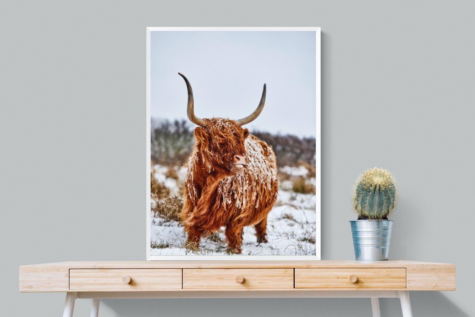 Highlander-Wall_Art-75 x 100cm-Mounted Canvas-White-Pixalot