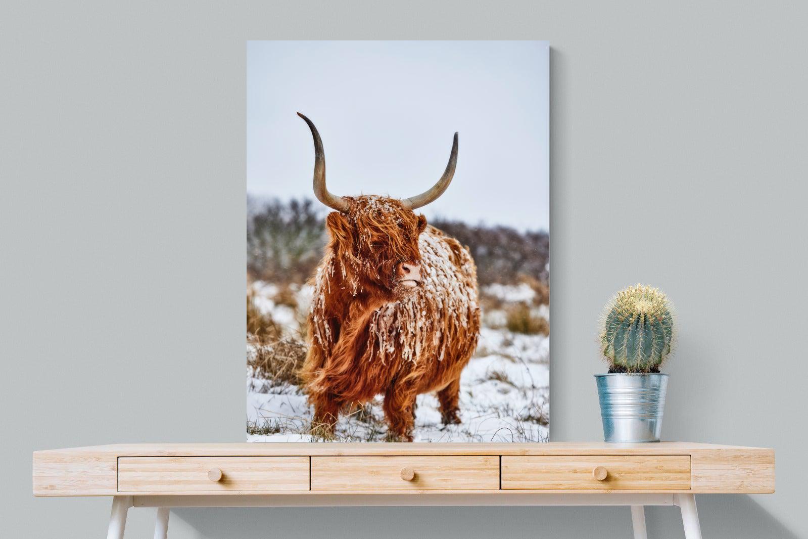 Highlander-Wall_Art-75 x 100cm-Mounted Canvas-No Frame-Pixalot