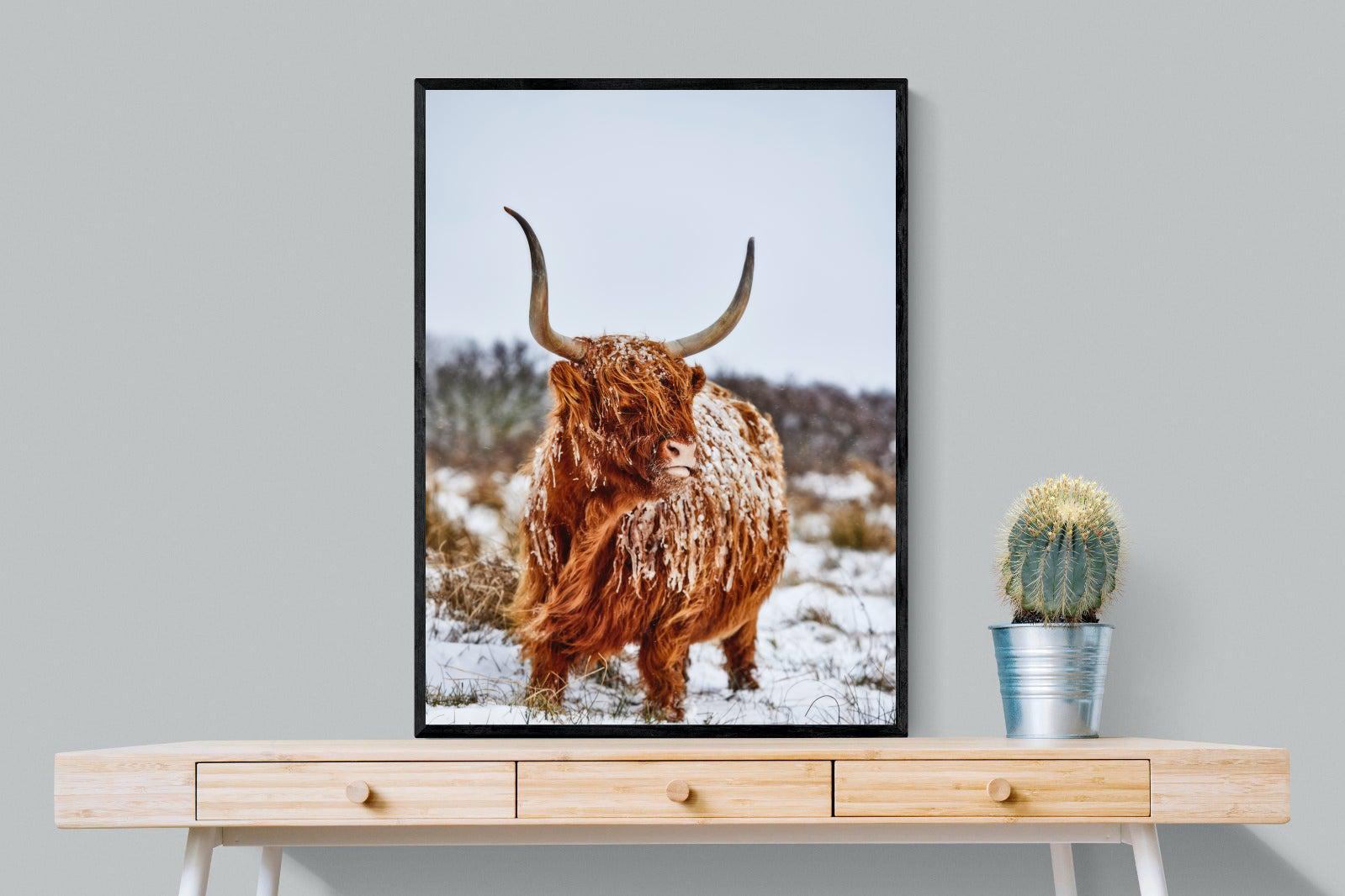 Highlander-Wall_Art-75 x 100cm-Mounted Canvas-Black-Pixalot