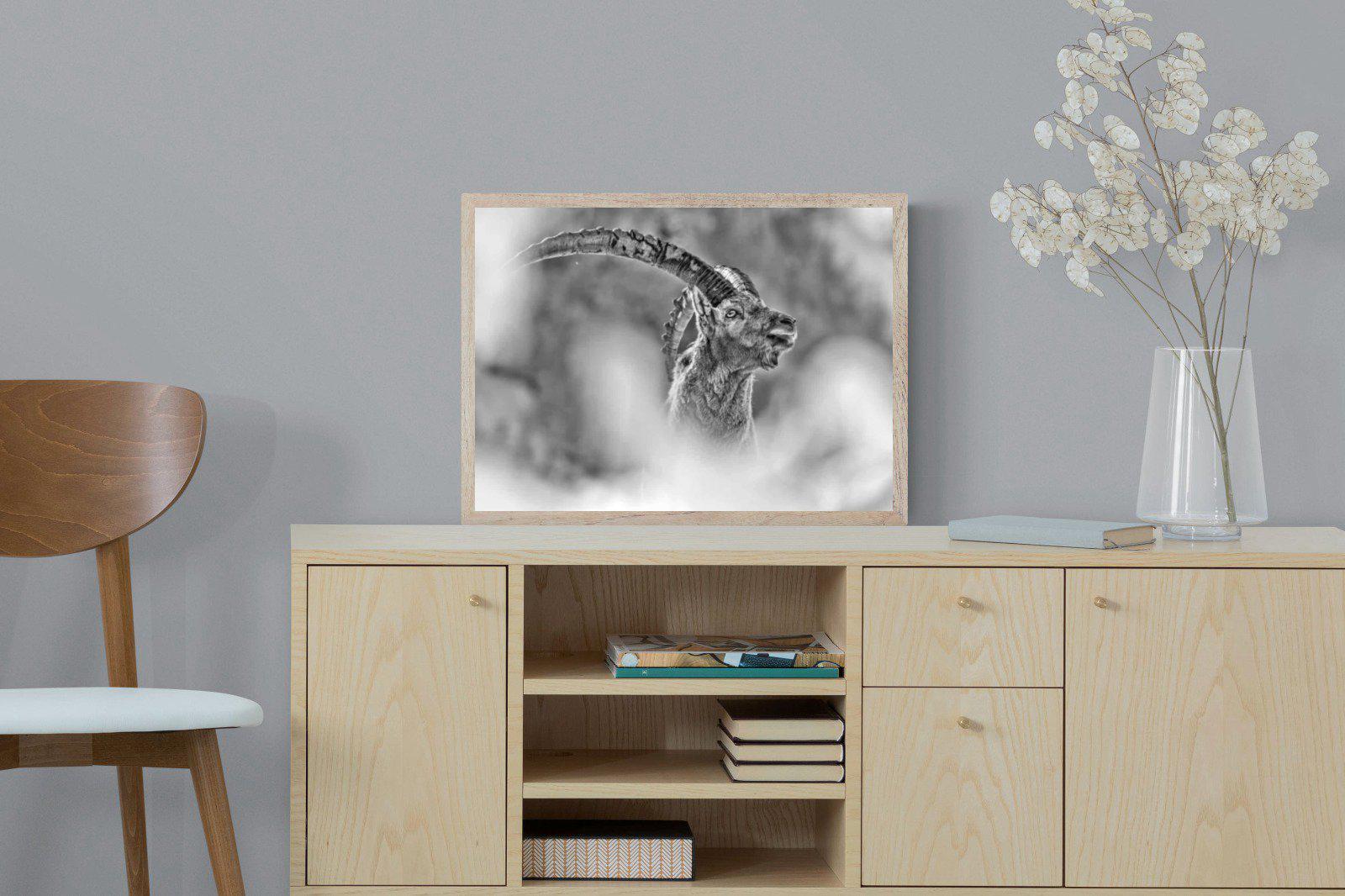 Ibex-Wall_Art-60 x 45cm-Mounted Canvas-Wood-Pixalot