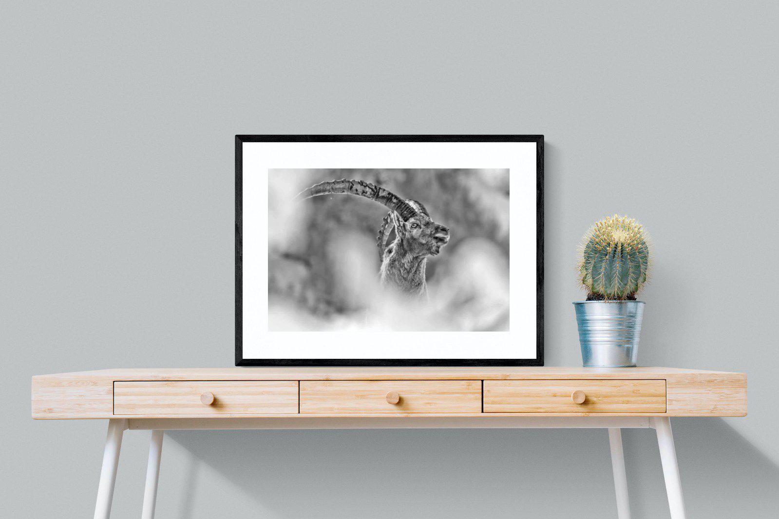 Ibex-Wall_Art-80 x 60cm-Framed Print-Black-Pixalot