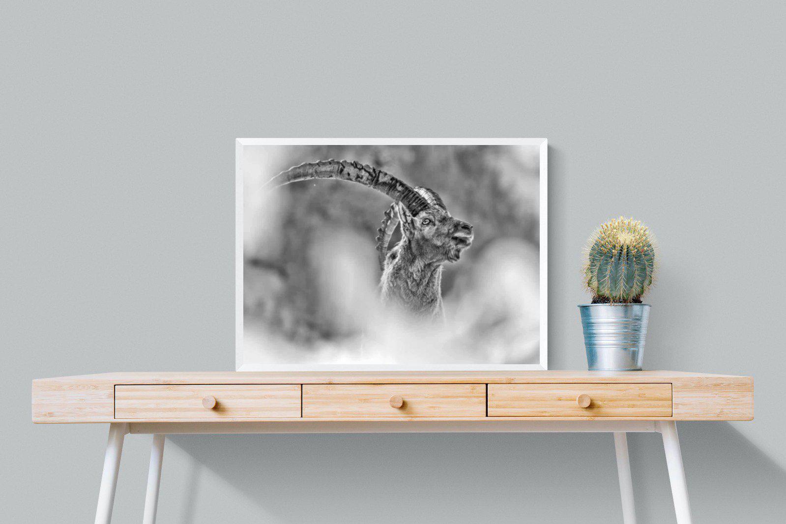 Ibex-Wall_Art-80 x 60cm-Mounted Canvas-White-Pixalot