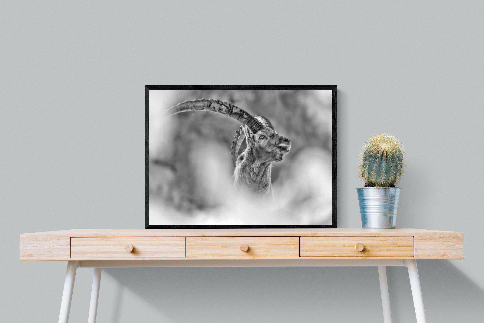 Ibex-Wall_Art-80 x 60cm-Mounted Canvas-Black-Pixalot