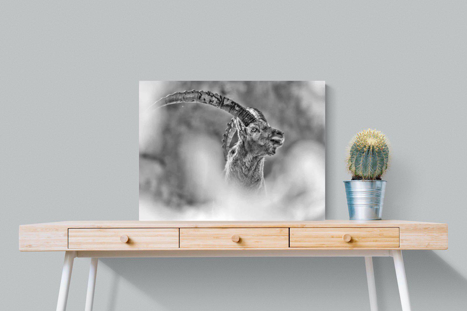 Ibex-Wall_Art-80 x 60cm-Mounted Canvas-No Frame-Pixalot