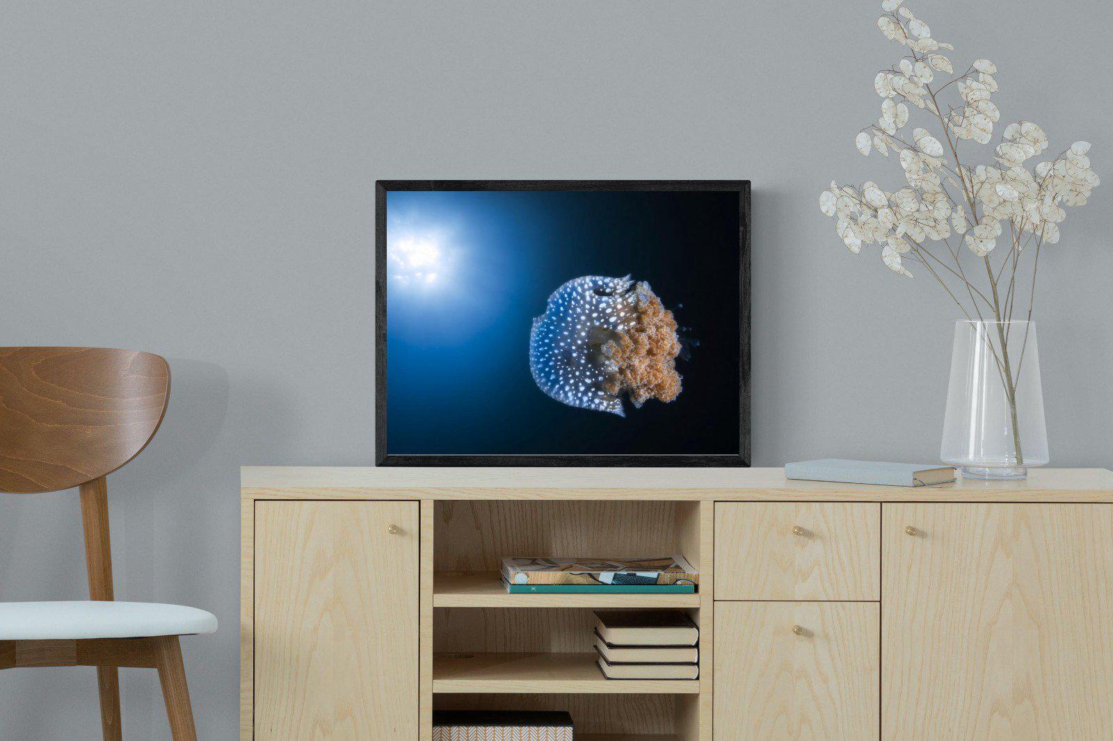 Jellyfish-Wall_Art-60 x 45cm-Mounted Canvas-Black-Pixalot