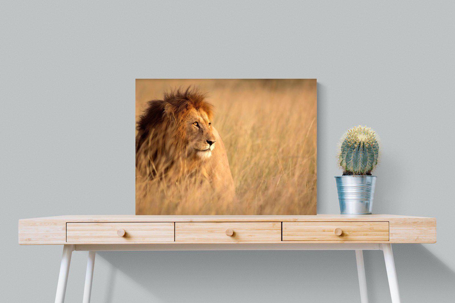 King-Wall_Art-80 x 60cm-Mounted Canvas-No Frame-Pixalot