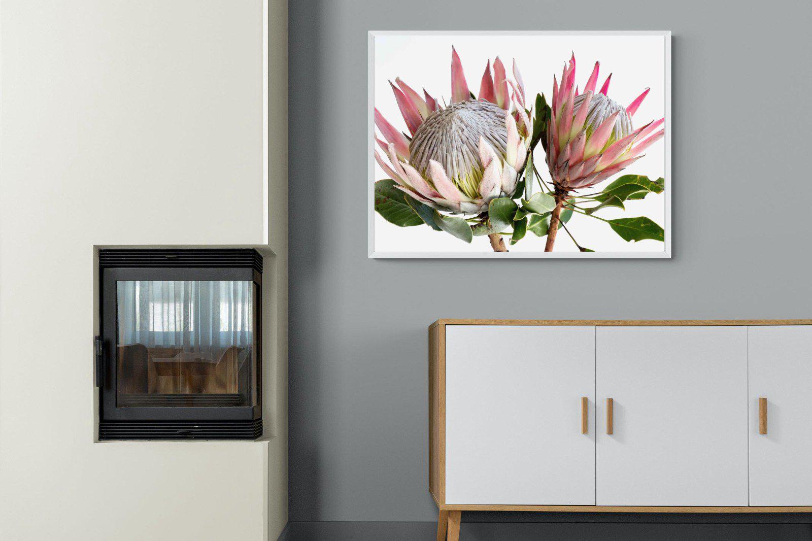 King Proteas-Wall_Art-100 x 75cm-Mounted Canvas-White-Pixalot