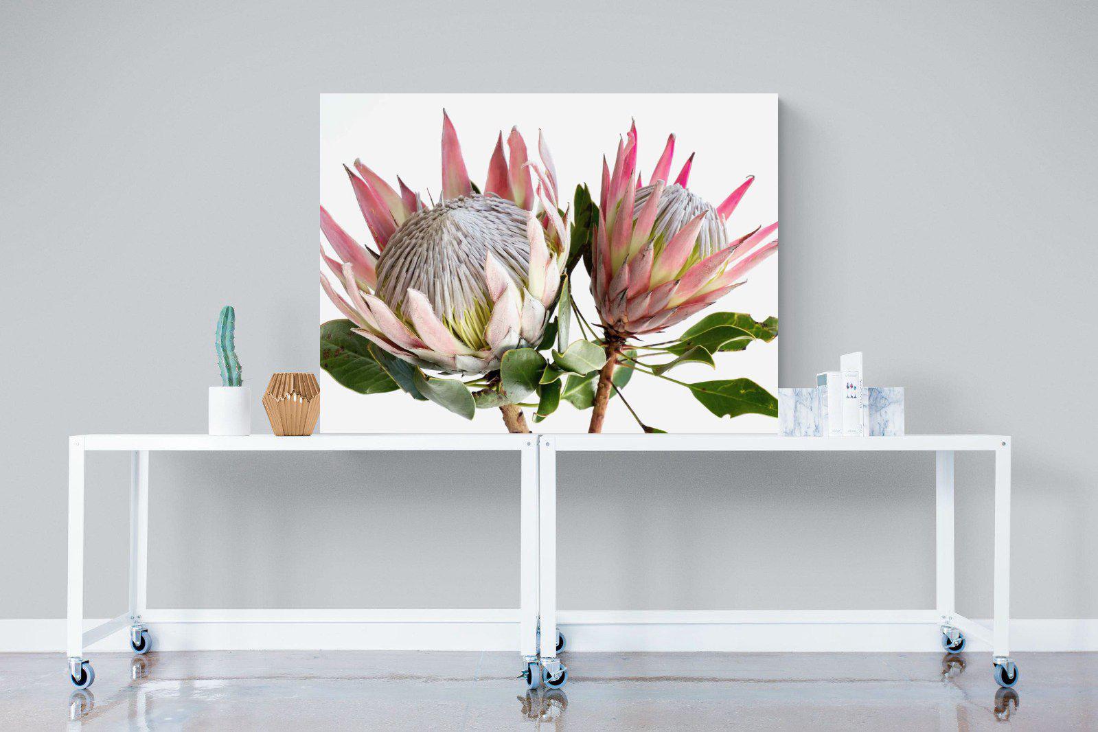 King Proteas-Wall_Art-120 x 90cm-Mounted Canvas-No Frame-Pixalot