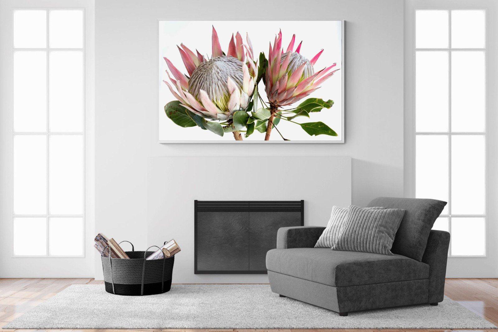 King Proteas-Wall_Art-150 x 100cm-Mounted Canvas-White-Pixalot