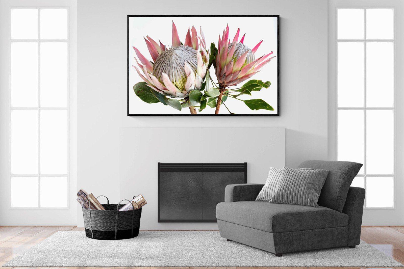 King Proteas-Wall_Art-150 x 100cm-Mounted Canvas-Black-Pixalot