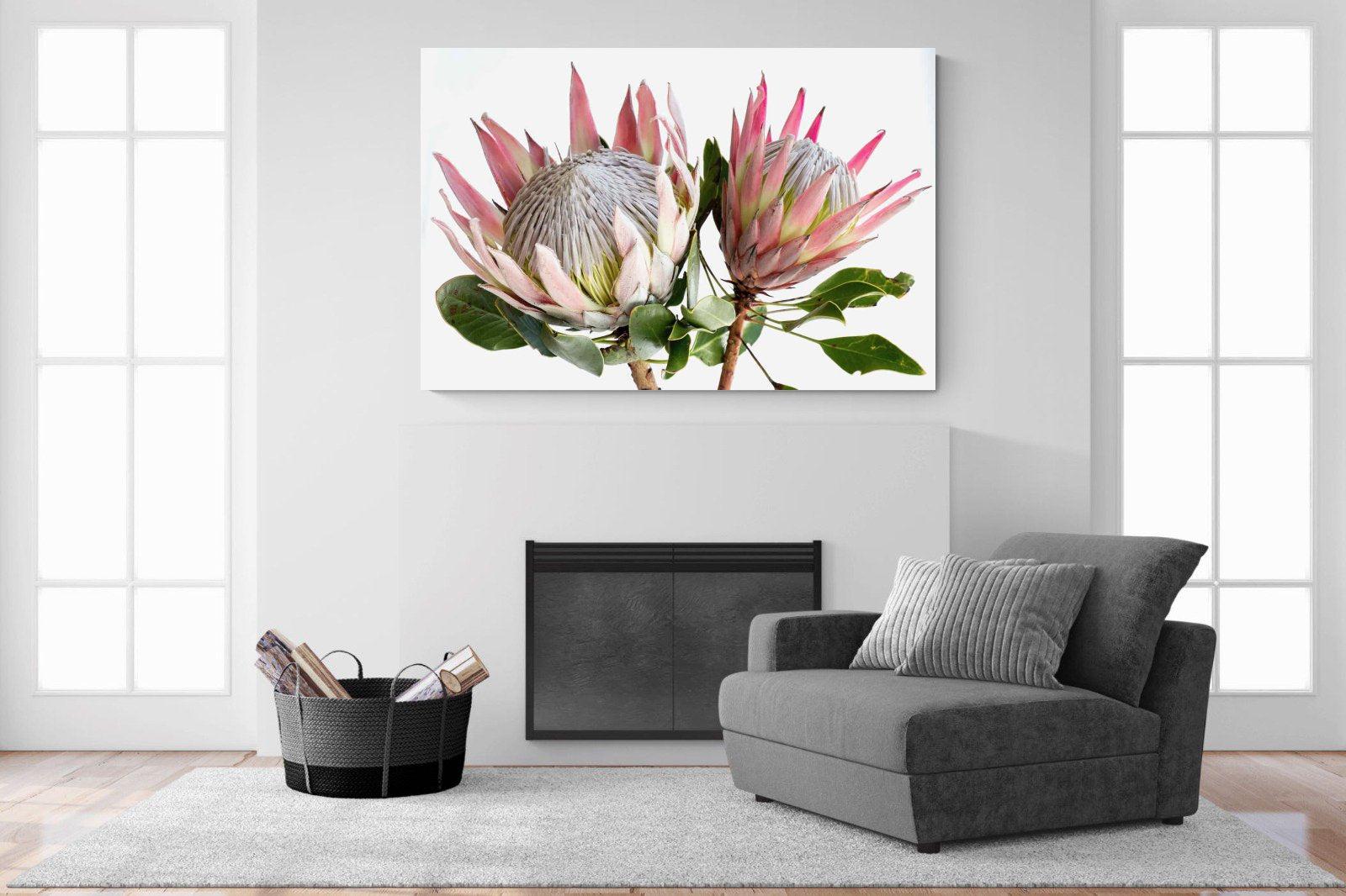 King Proteas-Wall_Art-150 x 100cm-Mounted Canvas-No Frame-Pixalot