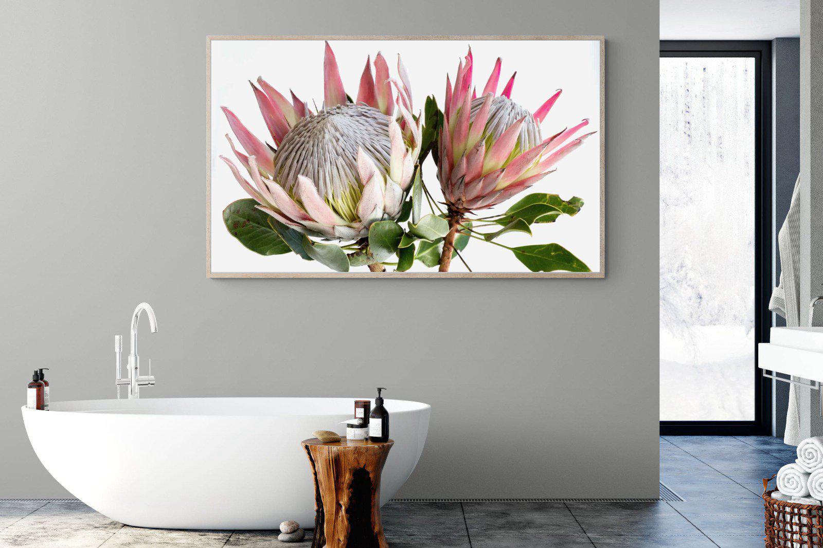 King Proteas-Wall_Art-180 x 110cm-Mounted Canvas-Wood-Pixalot