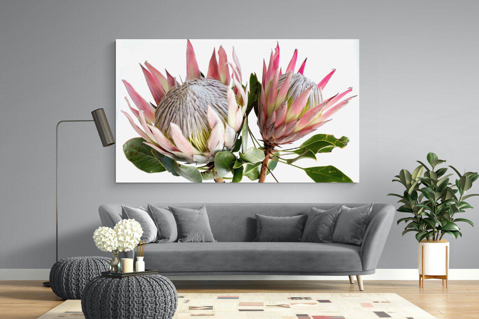 King Proteas-Wall_Art-220 x 130cm-Mounted Canvas-No Frame-Pixalot