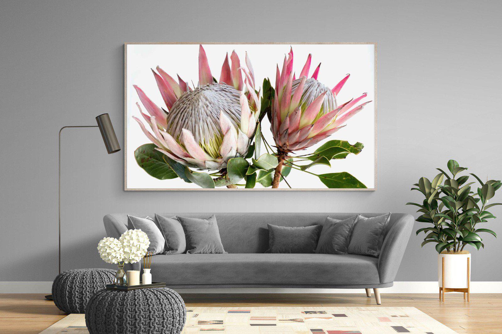 King Proteas-Wall_Art-220 x 130cm-Mounted Canvas-Wood-Pixalot