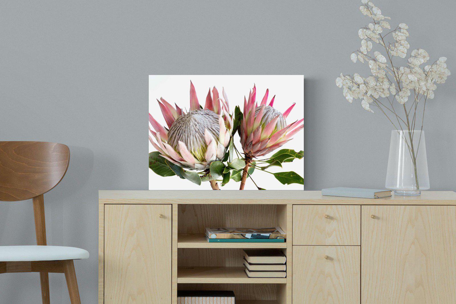 King Proteas-Wall_Art-Pixalot