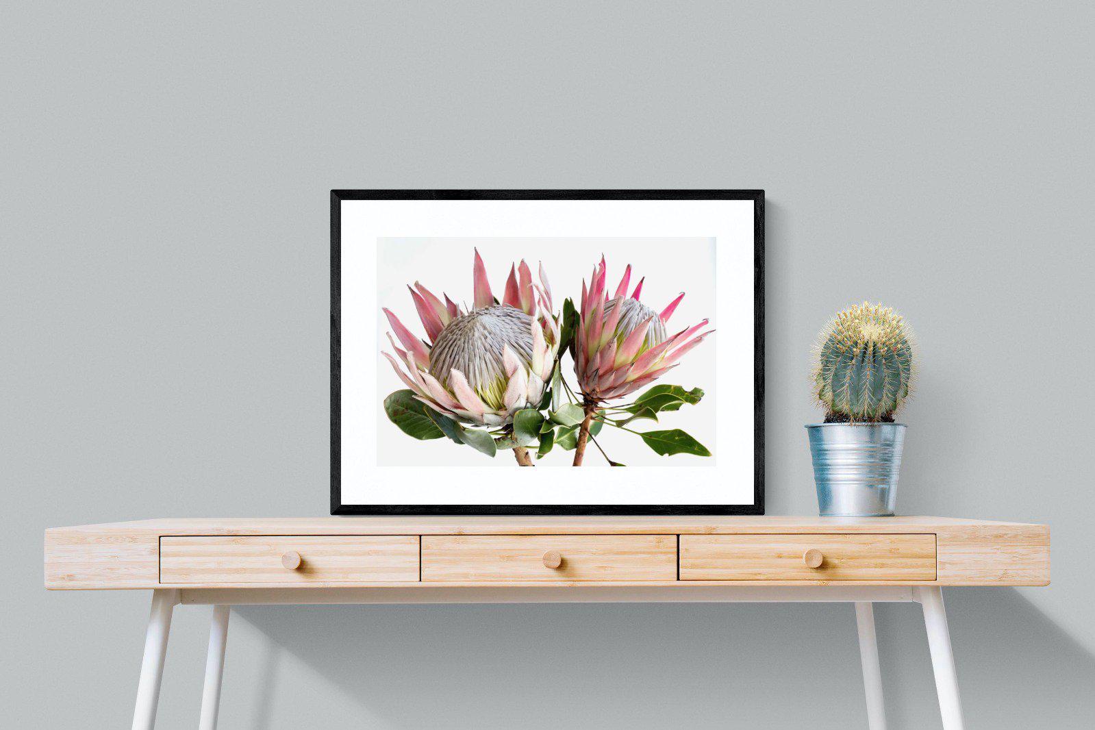 King Proteas-Wall_Art-Pixalot