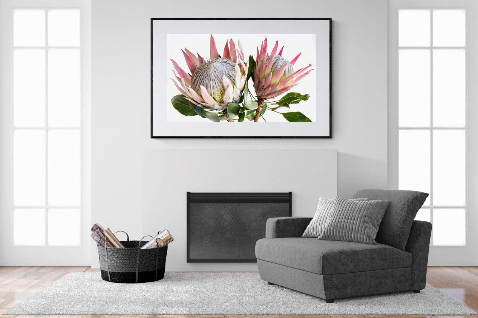 King Proteas-Wall_Art-Pixalot