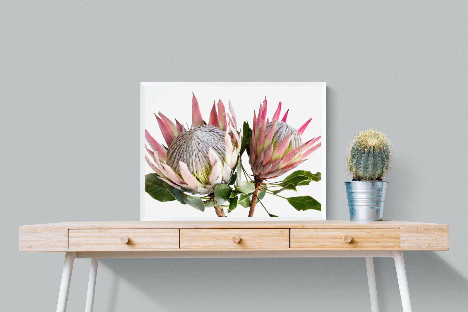 King Proteas-Wall_Art-Pixalot