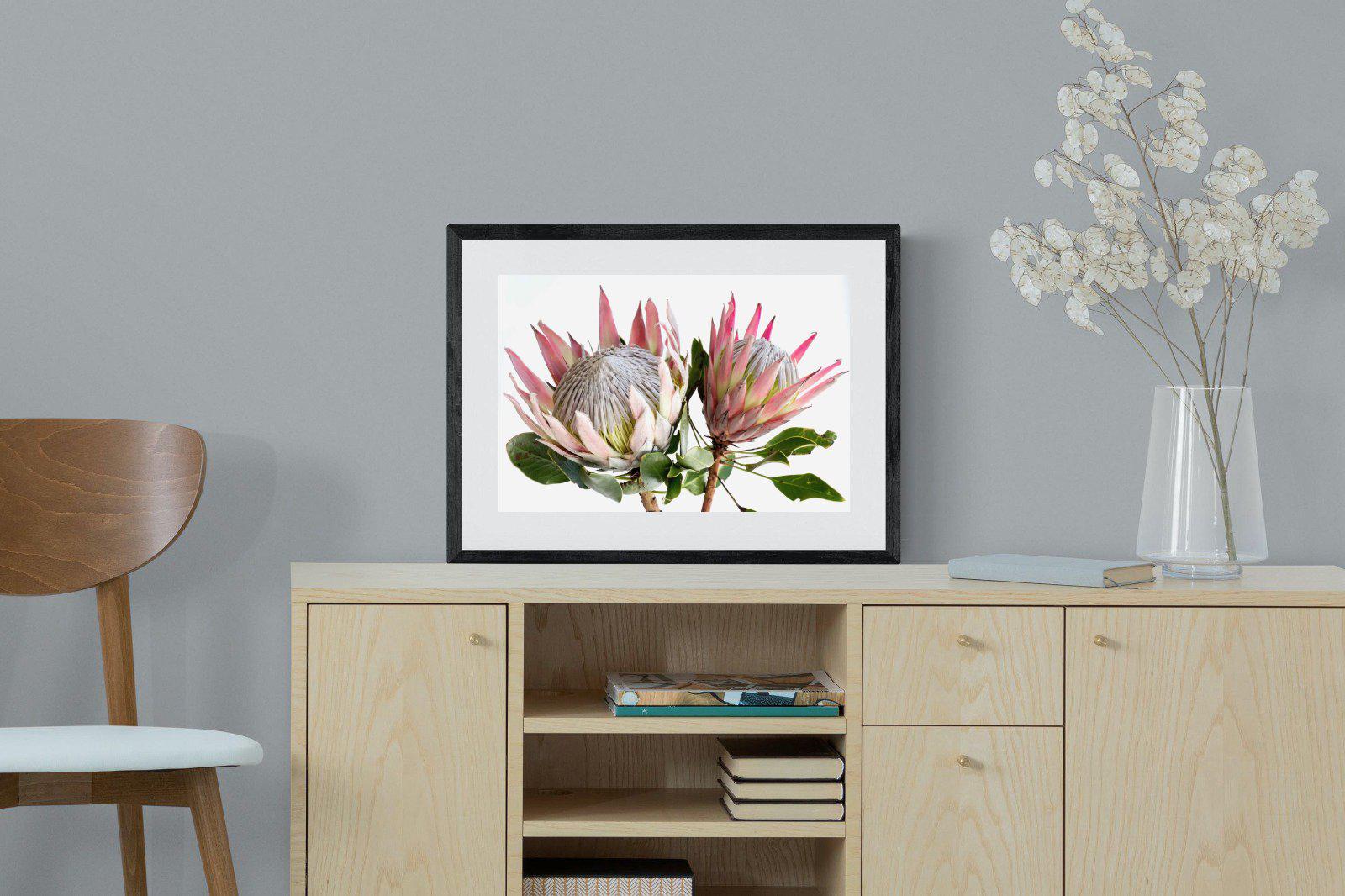 King Proteas-Wall_Art-60 x 45cm-Framed Print-Black-Pixalot