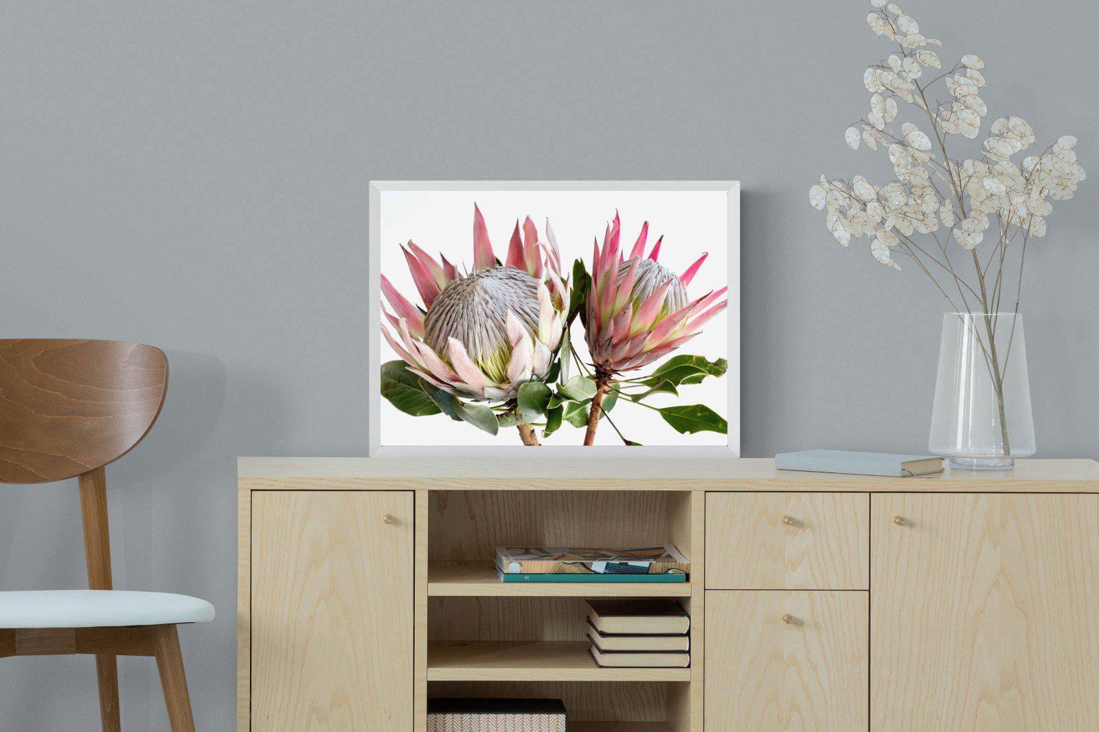 King Proteas-Wall_Art-60 x 45cm-Mounted Canvas-White-Pixalot