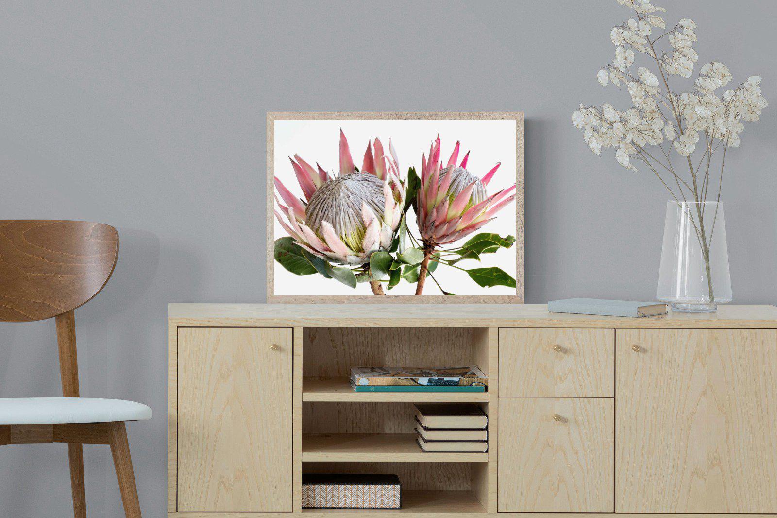 King Proteas-Wall_Art-60 x 45cm-Mounted Canvas-Wood-Pixalot