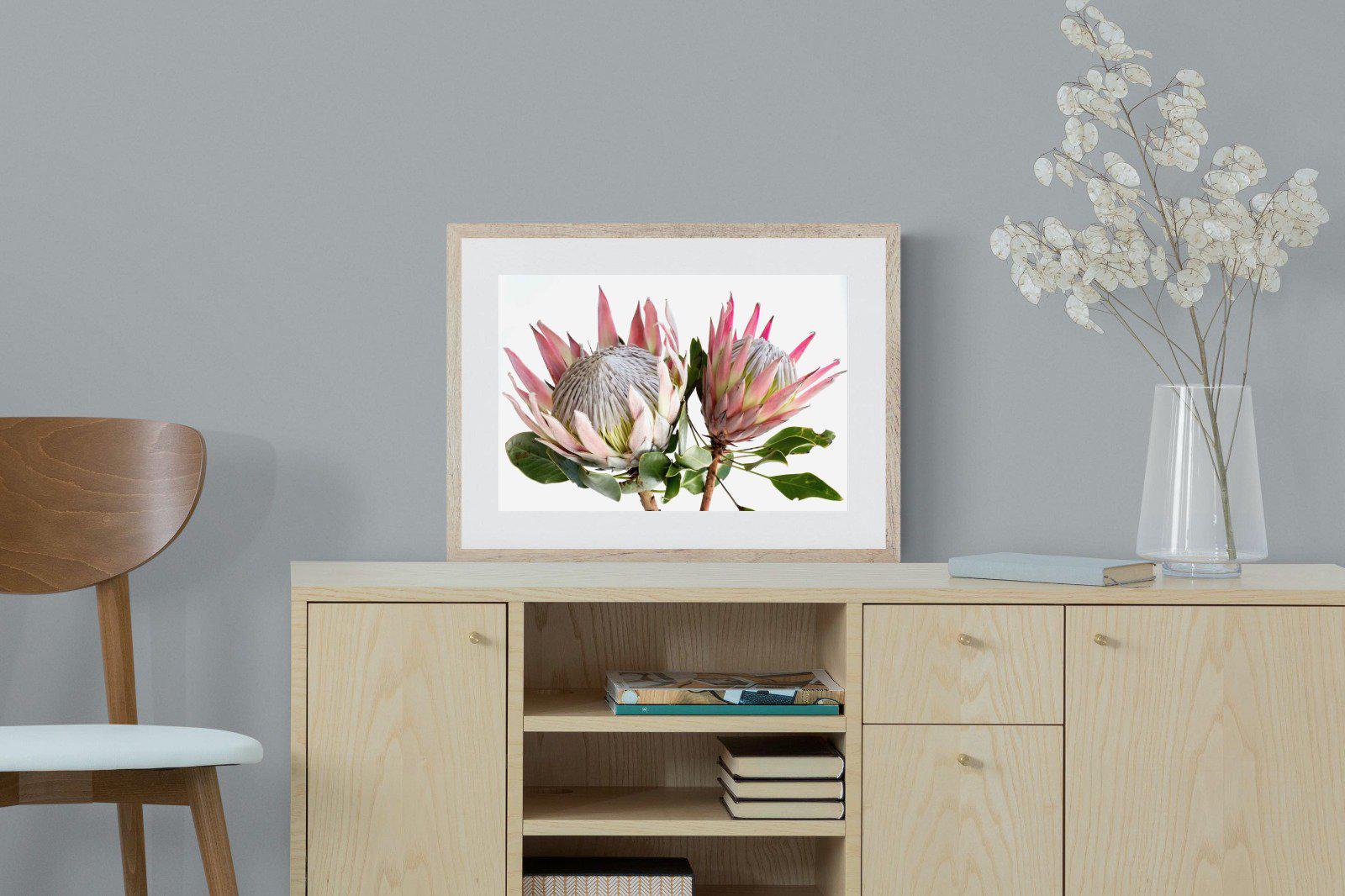 King Proteas-Wall_Art-Pixalot