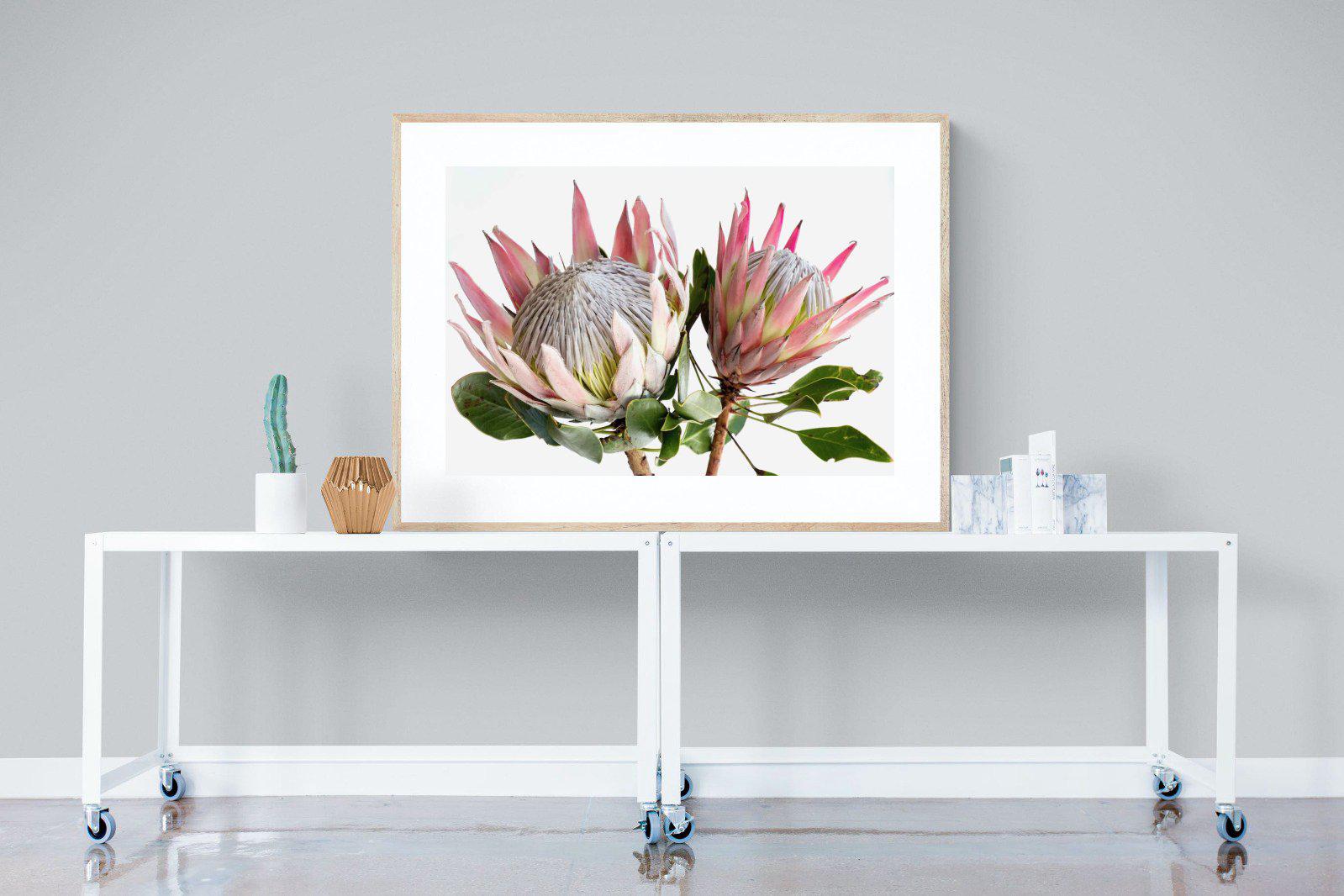 King Proteas-Wall_Art-Pixalot